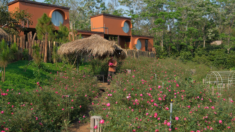 https://files.locallife.asia/images/800/1761383509566-ĐỔI CỠ 169 (40).png